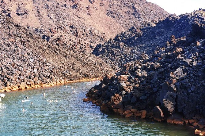 Santorini Volcanic Islands Cruise: Volcano, Hot Springs and Thirassia - Price add-ons you’ll want to budget before you go
