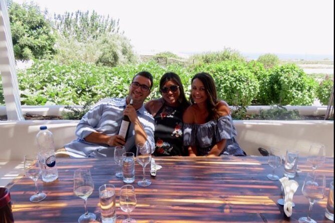 Santorini Wine Adventure with 12 Wine Tastings, Tapas and Sunset - The 12 Tastings: What You’re Really Sampling