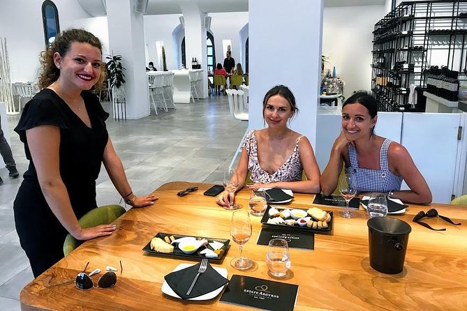Santorini Wine and Food Experience with pick up included - Price, group size, and overall value