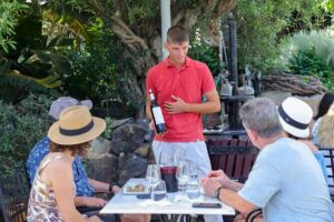 Santorini Wine Stories: Daytime Tour with Tasting & Lunch - Two Traditional Wineries and Eight Tastings: What You Actually Get