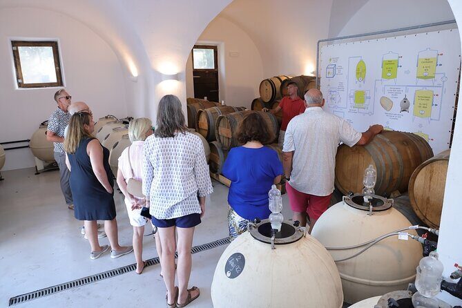 Santorini Wine Stories: Daytime Tour with Tasting & Lunch - How to Get the Most From Your Tasting Day