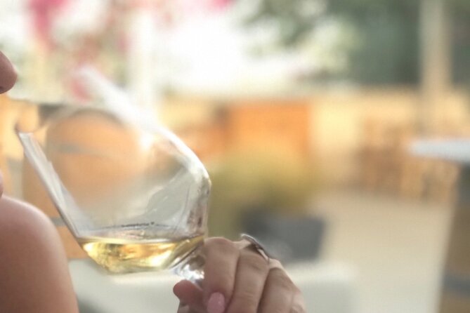 Santorini wine tasting and Traditional Cave Settlement Tour - Key points to know before booking