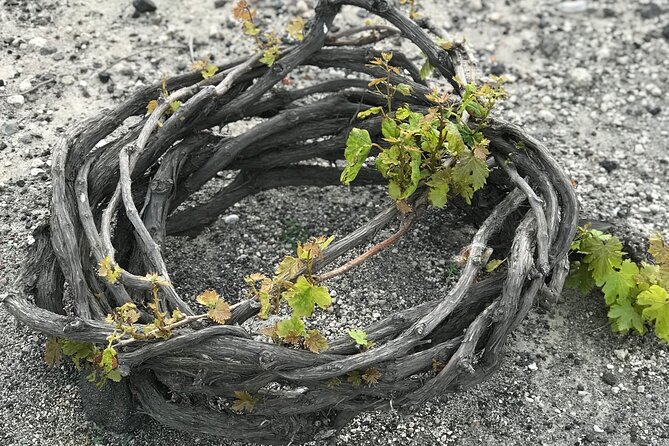Santorini wine tasting and Traditional Cave Settlement Tour - Why Santorini wine belongs in your island plans