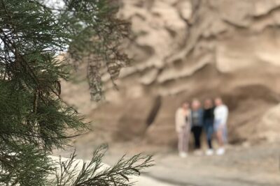 Santorini wine tasting and Traditional Cave Settlement Tour - A small-group format with a more personal feel