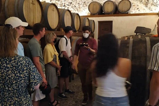 Santorini Wine Tasting: Day or Sunset Private Tour - Megalochori Shows the Island’s Basket Vines