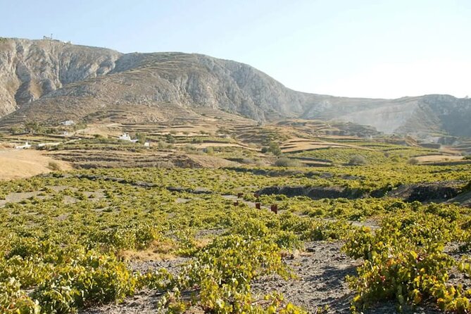 Santorini Wine Tasting: Day or Sunset Private Tour - Is $355.21 Per Person Fair?