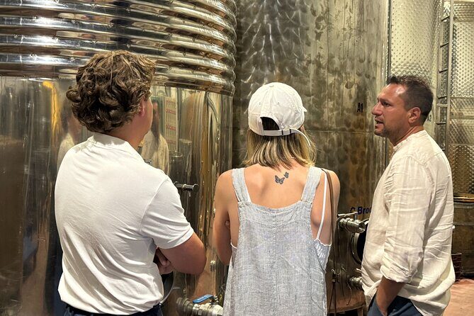 Santorini Wine Tour: 2 Wineries with Tastings & Local Snacks - What this 3-hour Santorini wine tour is really like