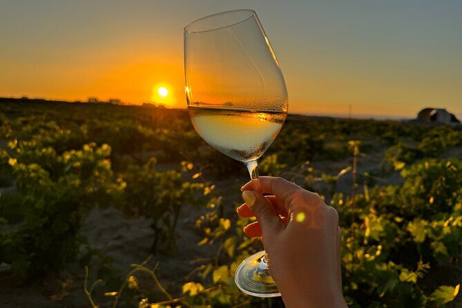 Santorini Wine Tour: 2 Wineries with Tastings & Local Snacks - The tasting and snacks: 8 wines plus Cycladic pairings