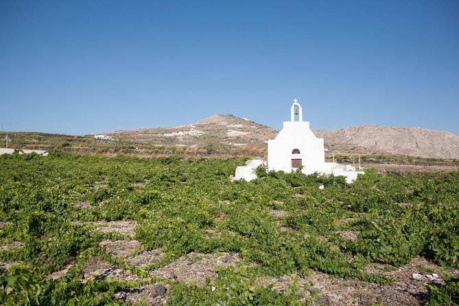 Santorini Wine Tour: Taste 12 best wines & 3 beers with pairings - Art Space: the most atmospheric winery stop