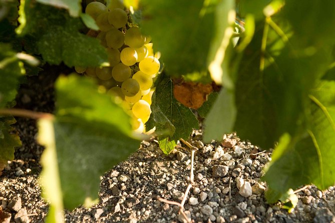 Santorini Wine Tour: Taste 12 best wines & 3 beers with pairings - Pickup, timing, and the practical details