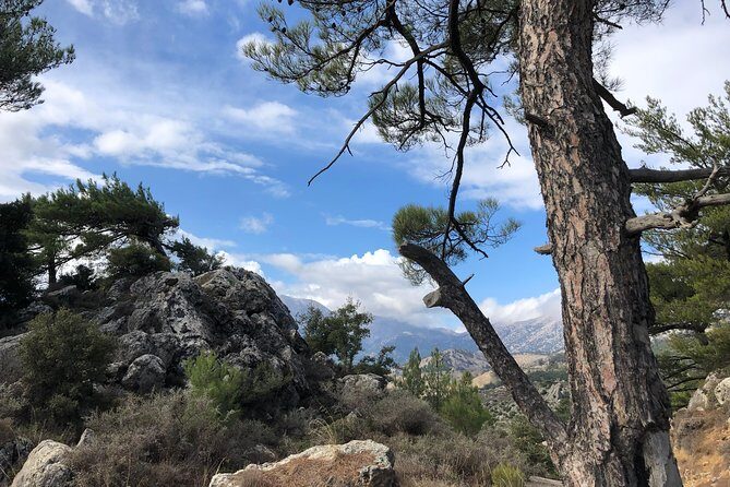 Sarakina Gorge, Kritza, Oliveoil Tasting, Mountains, South Coast - Price and Value: Is $119.73 a Fair Deal?