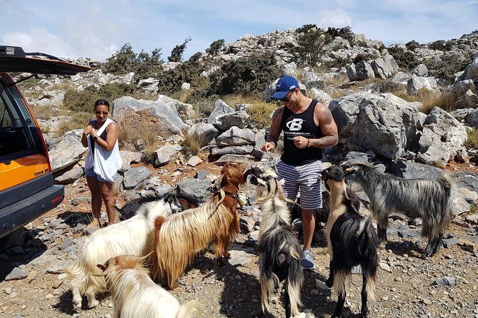 Sarakina Gorge, Kritza, Oliveoil Tasting, Mountains, South Coast - Pickup Reality: Where the Tour Starts (and Where It Doesn’t)