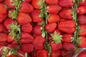 Savor Athens Walk: A Culinary & Travel Writer’s Insider Food Tour - Route overview: squares, markets, and street-food zones