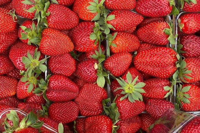 Savor Athens Walk: A Culinary & Travel Writer’s Insider Food Tour - Route overview: squares, markets, and street-food zones