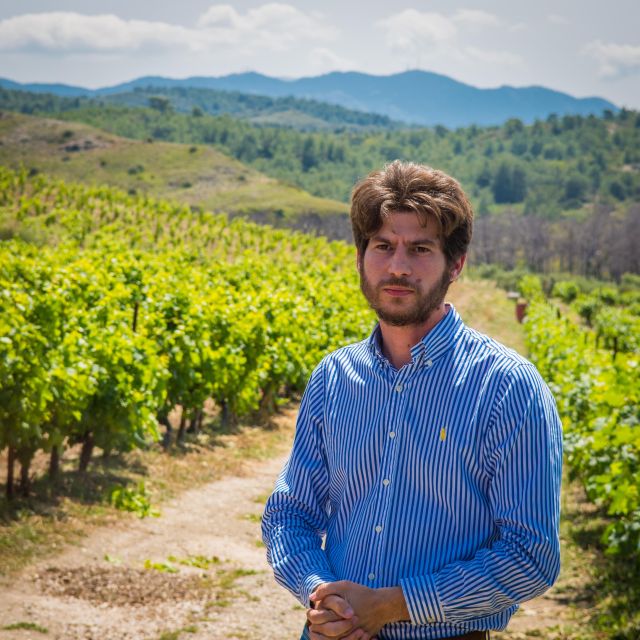 Savor Rhodes: 11-Dish Wine Pairing and Cooking Adventure - Should you book Savor Rhodes?