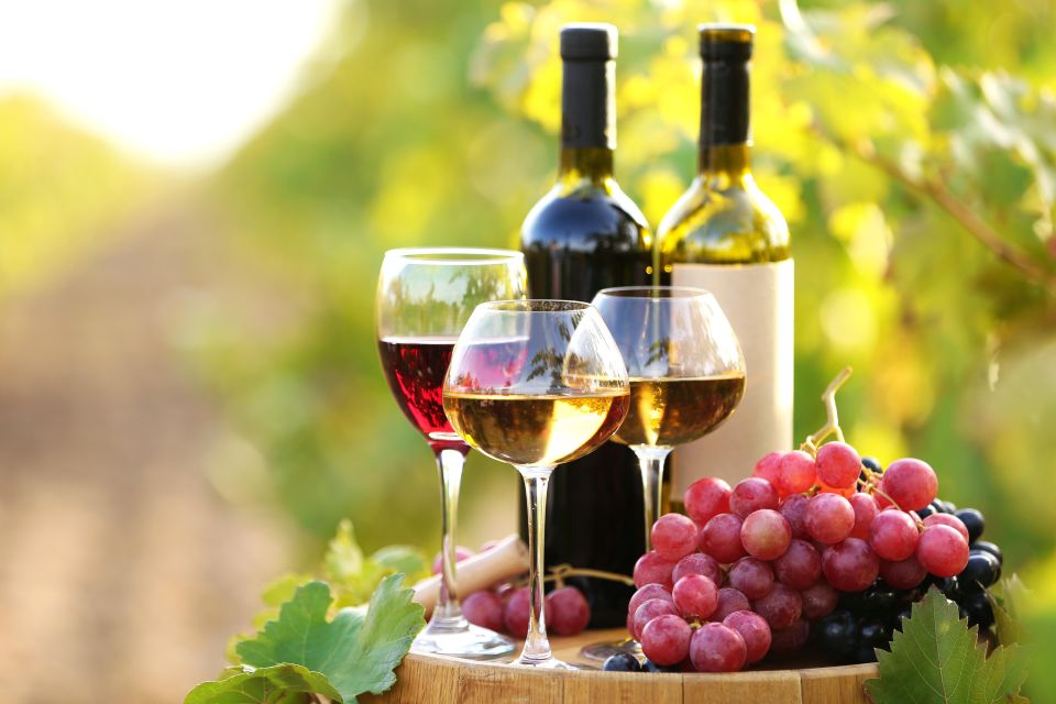 Savor Rhodes: 11-Dish Wine Pairing and Cooking Adventure - Who should book this Rhodes food experience?