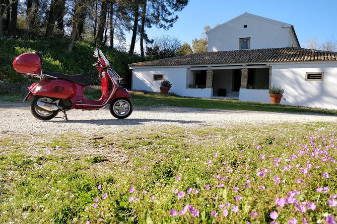 Savour The Flavors Of Corfu Vespa Scooter Tour - A food tour with a Vespa engine