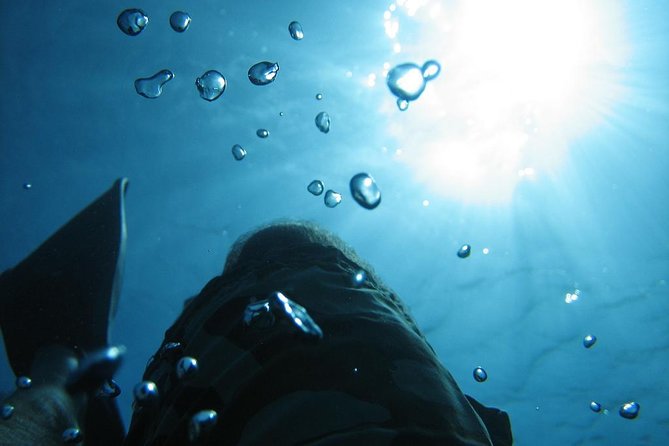 SCUBA DIVE: Kallithea's Underwater Exploration - Getting comfortable with the equipment