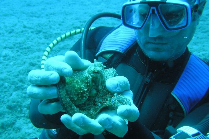SCUBA DIVE: Kallithea's Underwater Exploration - What qualified scuba users can expect
