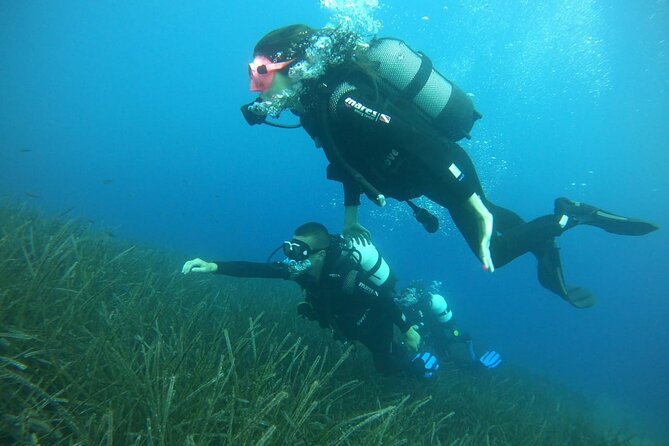 Scuba Diving Experience in Santorini - Timing your flight after the sea session