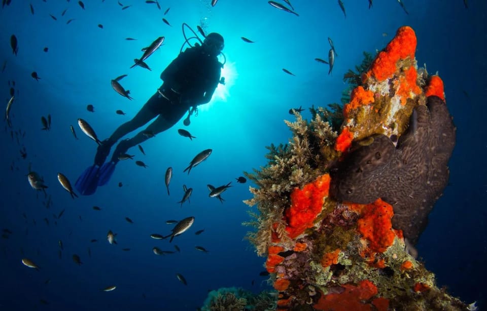 Scuba diving for beginners in crystal clear sea of Halkidiki - Your first breath underwater in Halkidiki