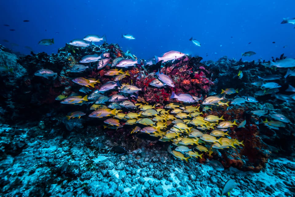 Scuba diving for beginners in crystal clear sea of Halkidiki - The 20-minute safety briefing comes first
