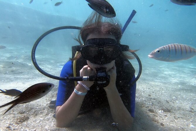 Scuba Diving for Beginners with a PADI Instructor near Heraklion - What happens after you leave the water