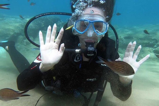 Scuba Diving for Beginners with a PADI Instructor near Heraklion - Is $84.11 a fair price?