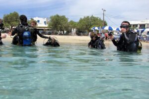 Scuba Diving in Naxos by Bluefindivers - Dive in Greece - Amazing Diving Spots - What you do in the water: surface practice, shallow skills, then guided time up to 7 meters
