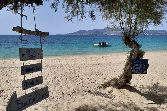 Scuba Diving in Naxos by Bluefindivers - Dive in Greece - Amazing Diving Spots - Instructors and coaching style: why safety feels calm here