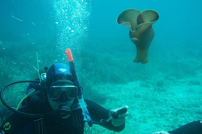 Scuba Diving in Naxos by Bluefindivers - Dive in Greece - Amazing Diving Spots - Timing on the day: what 12:30 pm means for your Naxos schedule