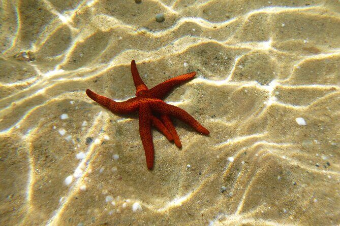 Sea kayaking Mykonos natural beauty beaches - Sea kayaking Mykonos: why the “natural beauty” part matters