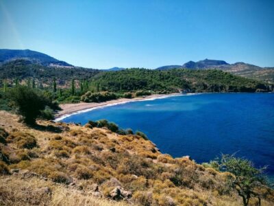 Sea, Sun and Swimming Cruise from Mytilene - First stop: calm waters at Ambelia