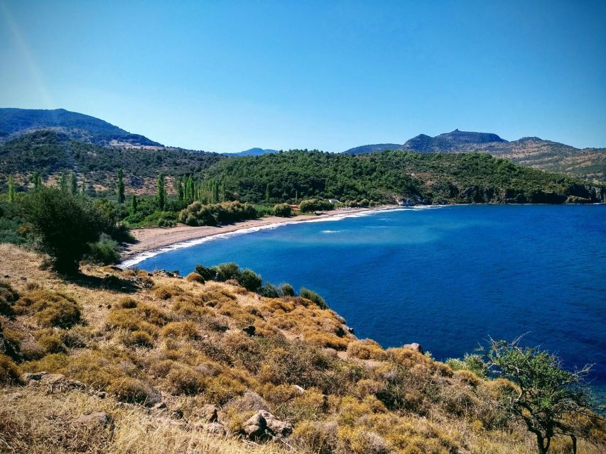 Sea, Sun and Swimming Cruise from Mytilene - First stop: calm waters at Ambelia