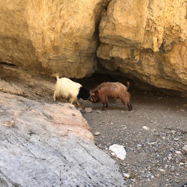 Self-Drive 4X4 Jeep Safari - South Crete Swimming & Canyons - What the $260 price really buys you