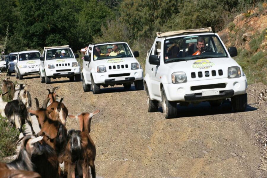 Self-Drive Jeep Safari to South Coast, Palm Beach & Canyons - Is This Worth Booking? My Decision Guide