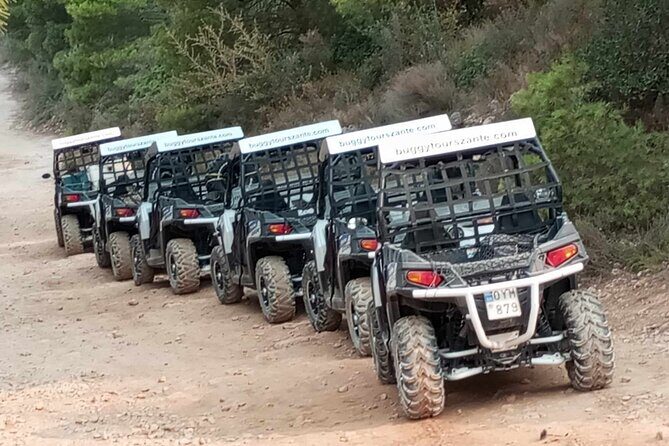 Self-Driving Off-Road Buggy Tour with Experienced Guide - Stop 5: Loucha valley lunch at a private farmhouse