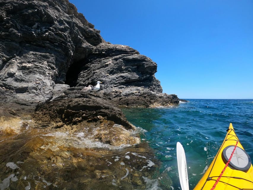 Semi-Private Half Day Kayaking Tours in Milos - Snorkeling and Looking Below the Surface