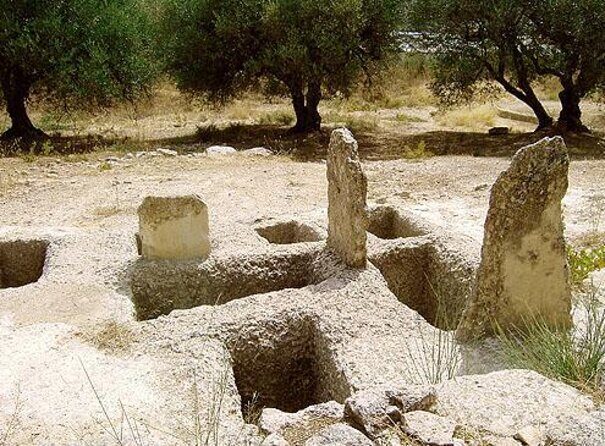 Semi Private Wine and Olive Oil tour (Transfer & Lunch Incl.) - Key highlights at a glance