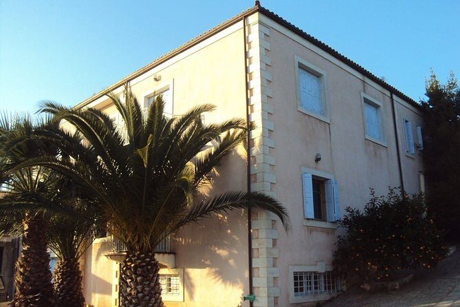 Semi Private Wine and Olive Oil tour (Transfer & Lunch Incl.) - Skalani olive mill: where the flavors start
