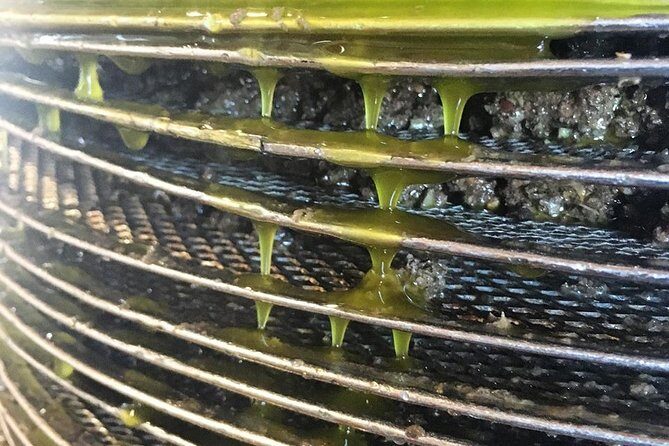 Semi Private Wine and Olive Oil tour (Transfer & Lunch Incl.) - Peza wineries: visiting a big name, with room for surprises