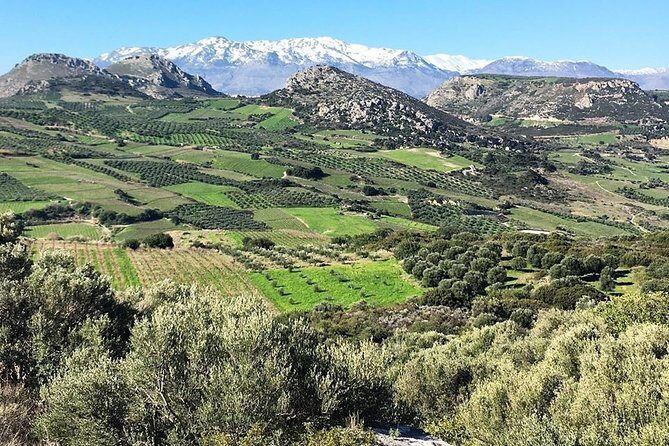Semi Private Wine and Olive Oil tour (Transfer & Lunch Incl.) - Archanes lunch: the food stop that earns its place