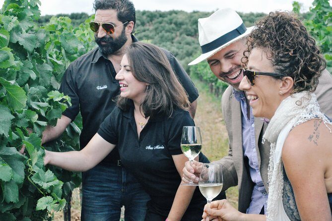 Semi-Private Wine Discovery Tour in Chania - Quick takeaways
