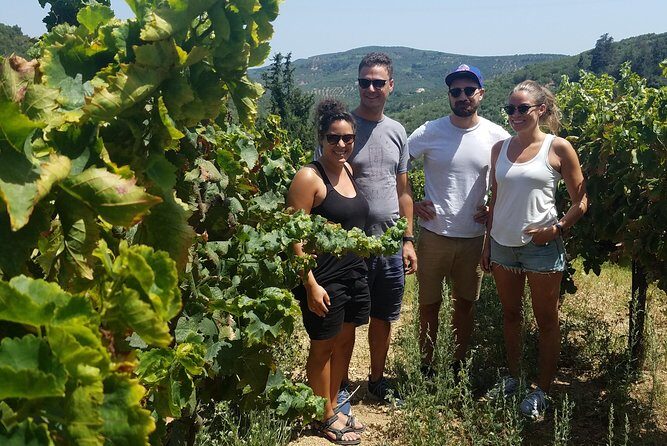 Semi-Private Wine Discovery Tour in Chania - From Platia Markopoulou to Cretan vineyards: how the day flows