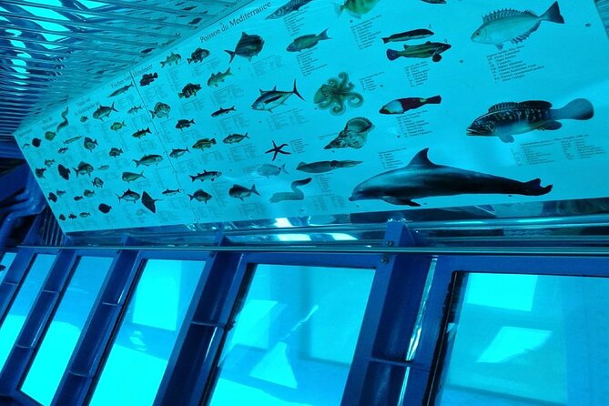 Semi-Submarine Tour from Agios Nikolaos - Is $18.92 a fair price?