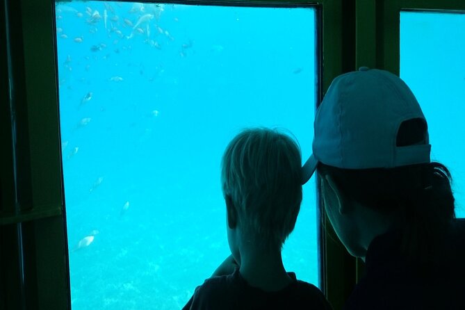 Semi-Submarine Tour from Agios Nikolaos - Who will enjoy it most