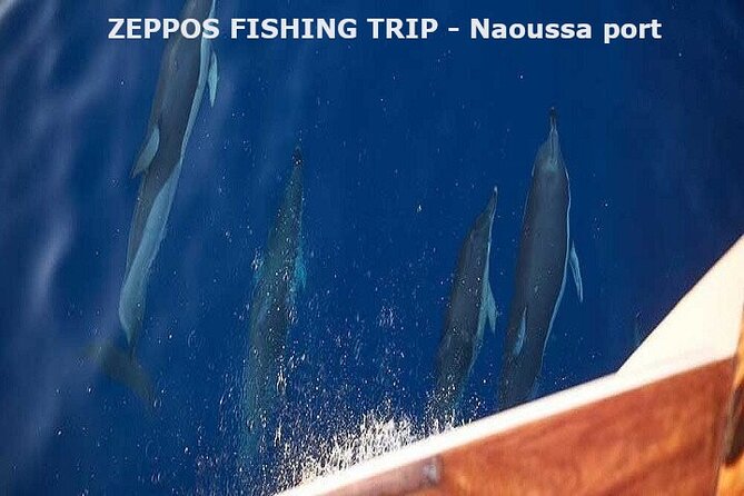 Semipriv FishingTour on Kaiki Paros/Naousa or Private sunset tour - What the $187.44 price really covers