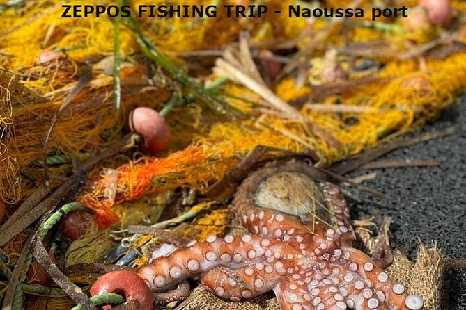 Semipriv FishingTour on Kaiki Paros/Naousa or Private sunset tour - Lageri Beach and the midday meal