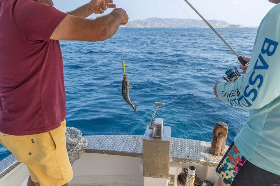 Shared Morning Cruise from Pollonia to Polyaigos - Food, drinks, shade, and the small comforts that make a 5-hour day easy