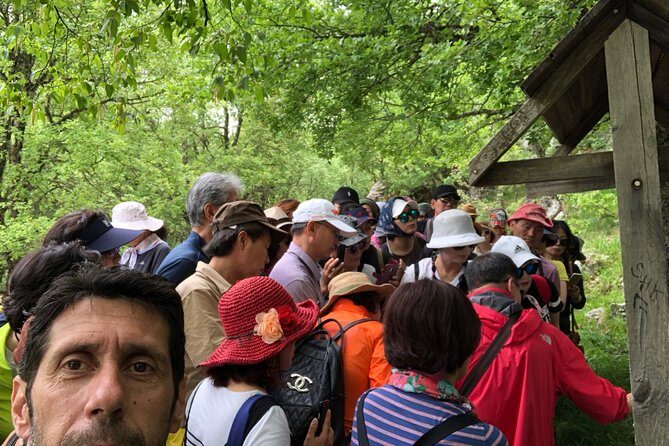 Sightseeing Zagori daily tour - Traditional Snacks and Small Breaks That Keep the Day Comfortable
